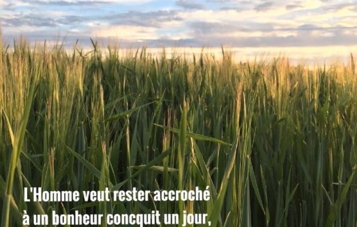 Pourquoi Nous Sommes Malheureux