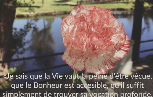 Trouver Sa Vocation Profonde…